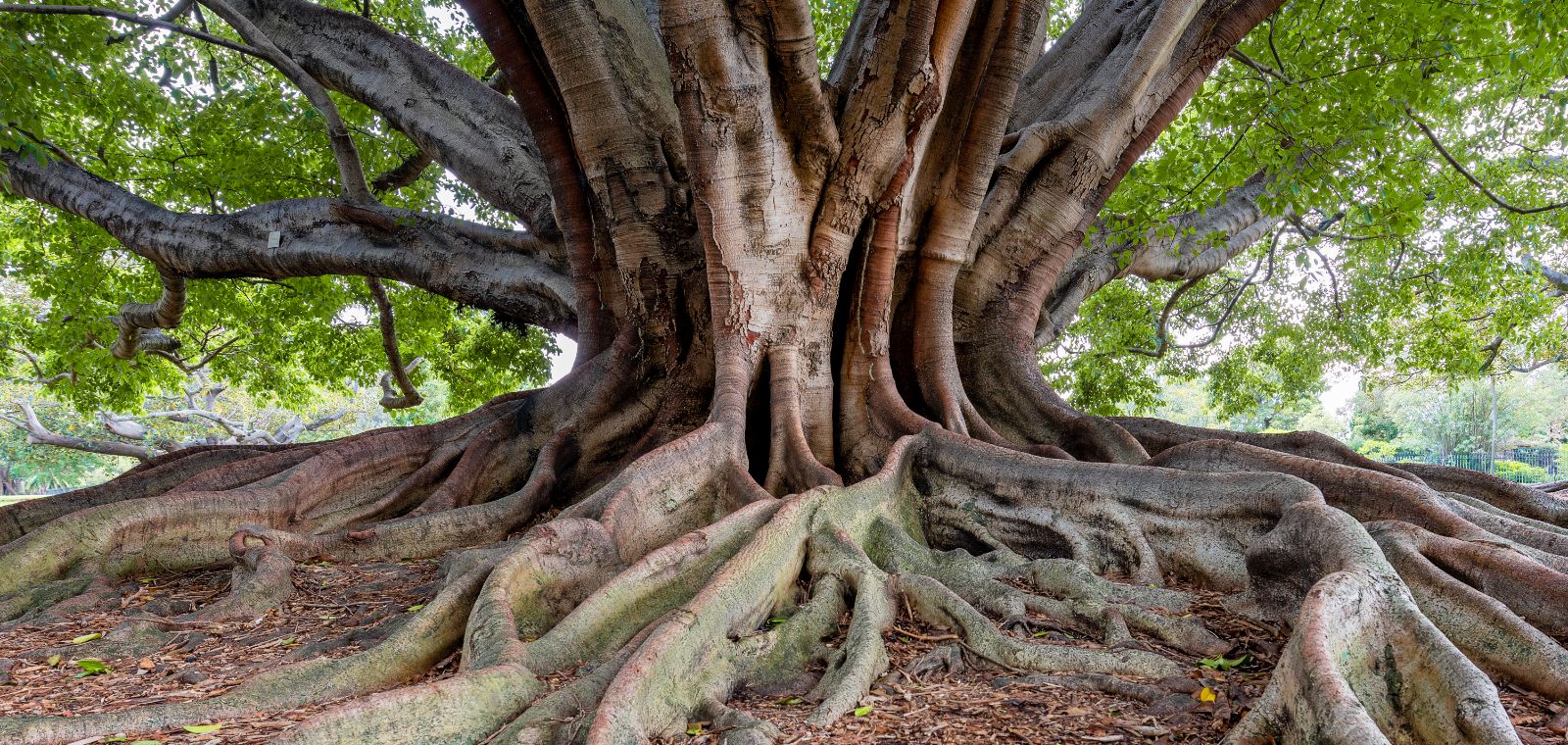 ケーススタディ：ポートフォリオの生物多様性リスク