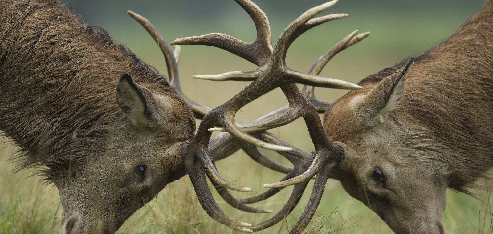 こう着状態にある米ドルを巡る論点を整理する