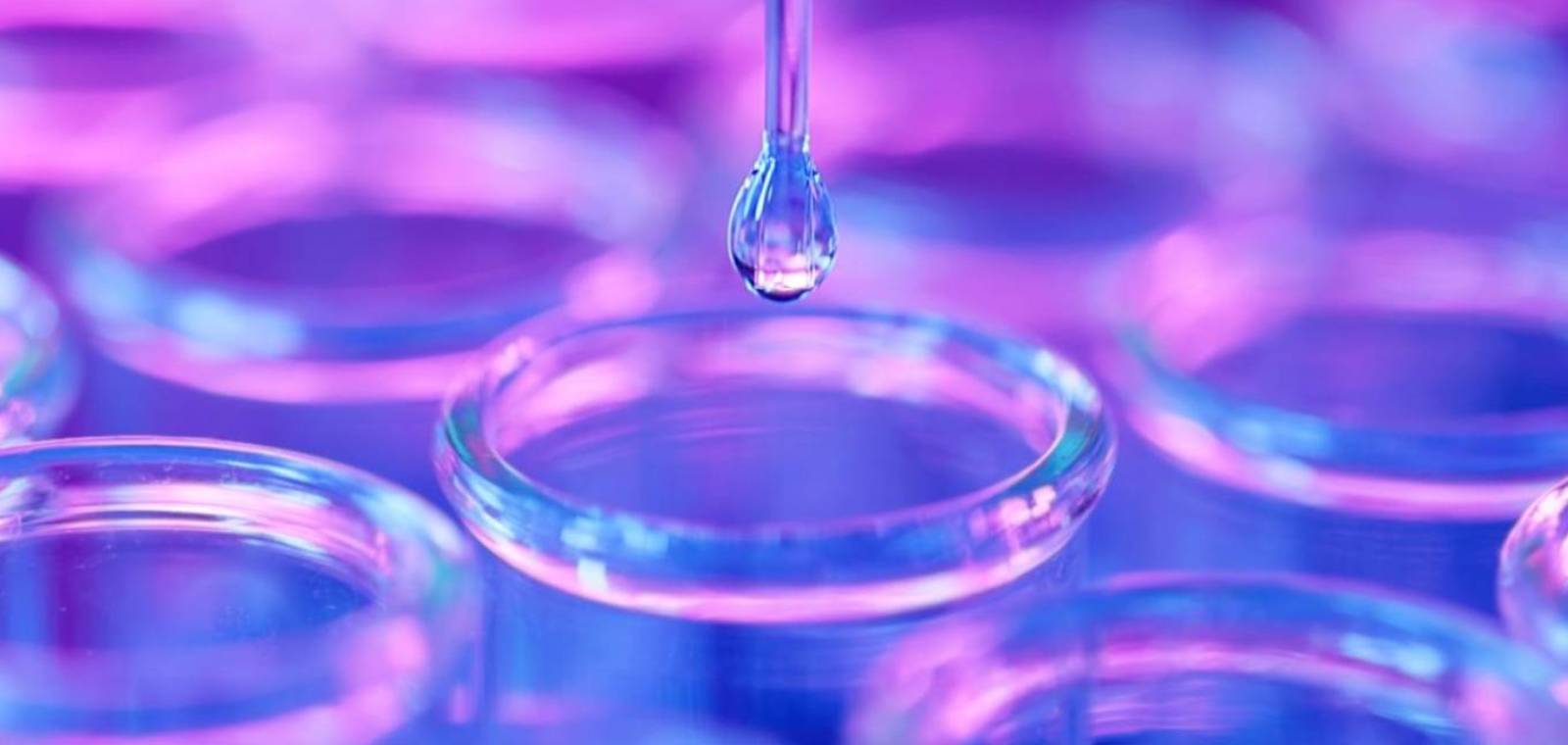 政策不安の後退はヘルスケア株の復調につながるか？